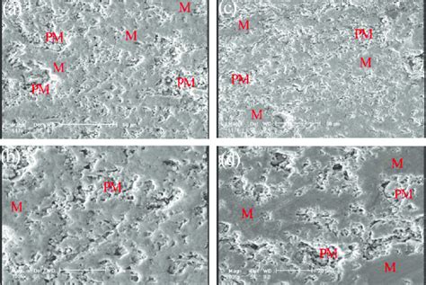 Sem Images Of Cross Section Of Ysz Aps Coating With Different