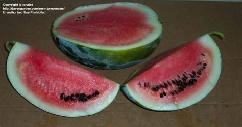 On Apr 17 2007 Oklahoma Declared The Watermelon The Official State