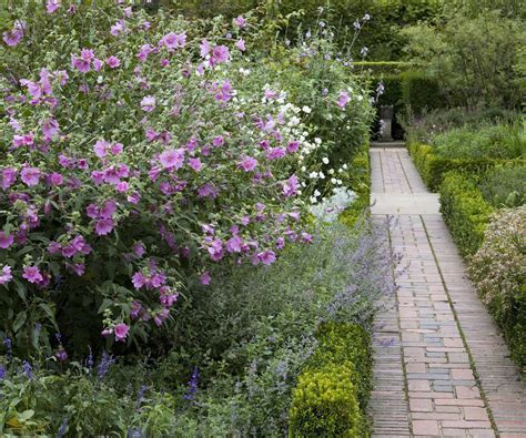 Landscaping with shrubs: 10 looks for your backyard | Homes & Gardens