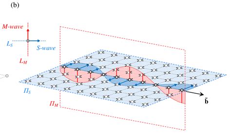 Linear Polarization Of Elastic Waves In Periodic Lattices A