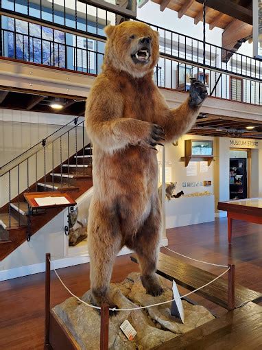 Pacific Grove Museum of Natural History - Mr. Bolduc