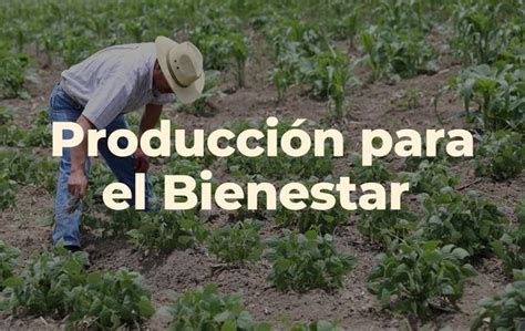 Un Cambio De Enfoque Producci N Para El Bienestar Se Centra En