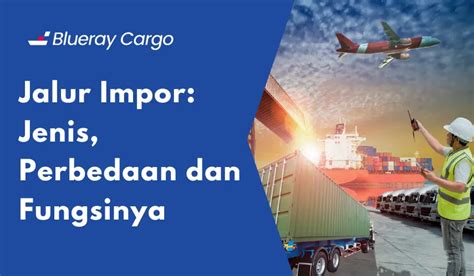 Jalur Impor Jenis Perbedaan Dan Fungsinya