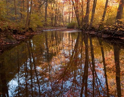 Connecticut Nature And Landscape Photography Autumn Reflections