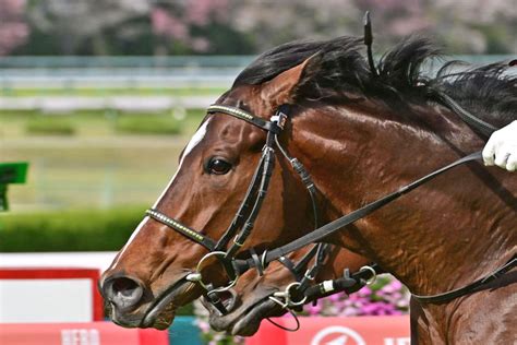 【nhkマイルc・耳より】ディスペランツァ連勝へ！武器は「競馬力の高さ」 ノーブルロジャー好感触「マイルに戻るのはいい」東スポ競馬