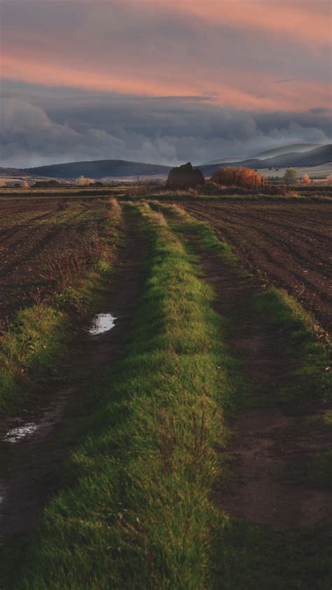 Fotos gratis paisaje costa árbol naturaleza césped horizonte