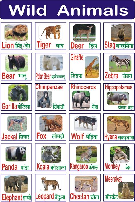 Wild Animals Names With Picture ll Wild Animals For Kids to learn ...