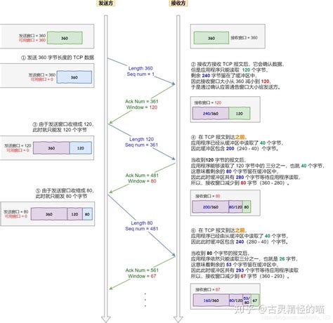 网络基础篇之tcp 知乎