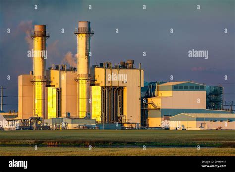 generating plant  res stock photography  images alamy