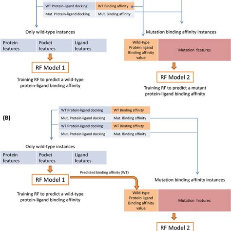 A Machine Learning Model Design To Predict Protein Ligand Binding