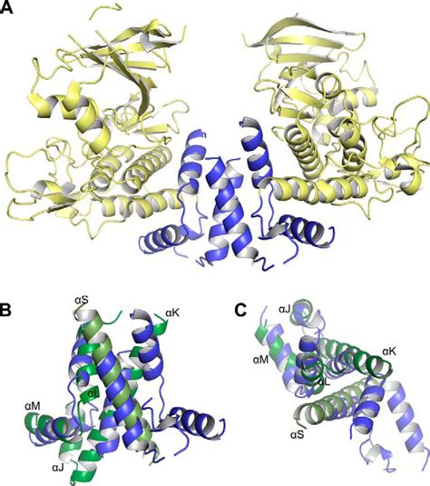 The Crystal Structure Of Pseudokinase Peak1 Sugen Kinase 269 Reveals An Unusual Catalytic