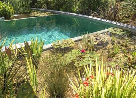 Our Pools Chemical Free Swimming Pools Naturally Filtered