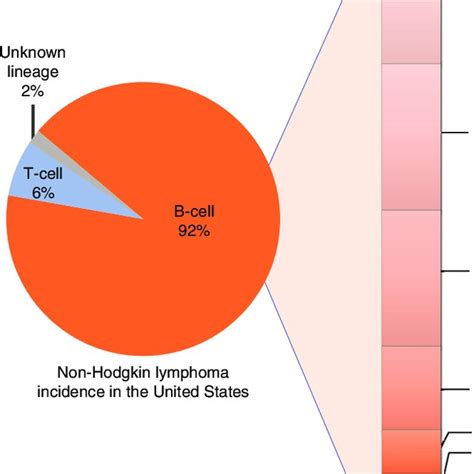 The genetic features of B-cell lymphoma | Download Scientific Diagram