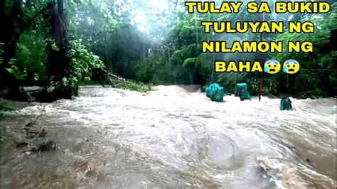 TULUYAN NG NILAMON ANG TULAY SA LAKAS NG RAGASA NG BAHA YouTube