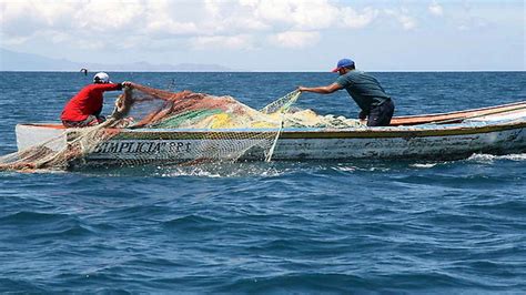 BANADESA desembolsó L 27 4 millones para pescadores en La Ceiba