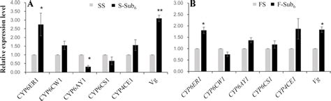 Relative Transcript Expression Of P450 Genes And Vitellogenin Gene In