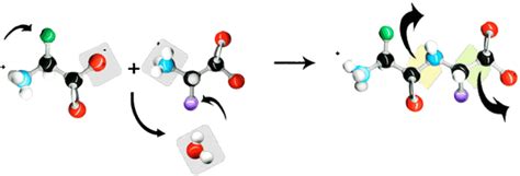 Basic Peptides synthesis introduction - LifeTein®