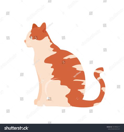 Ginger Cat Sitting Flat Vector Illustration Stock Vector Royalty Free