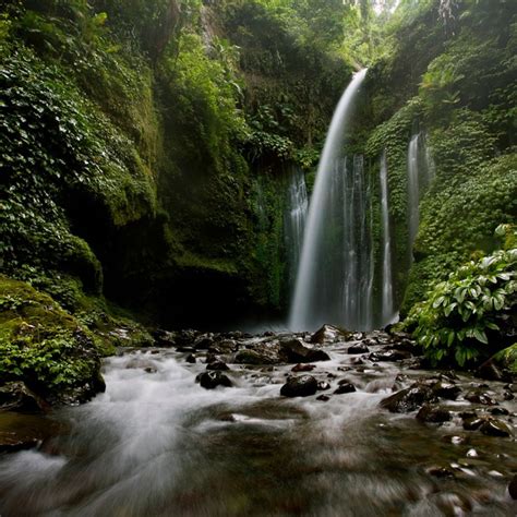 Explore Tiu Kelep Waterfall Lombok Senaru Waterfall Lombok