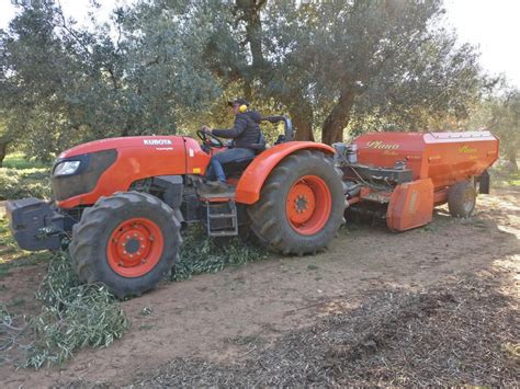 Olivo I Residui Di Potatura Dicevano Energia Bioenergie AgroNotizie