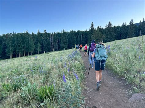 Hike Humphreys Peak the highest point in Arizona - WildPathsAZ