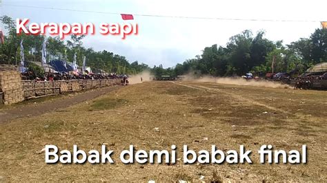 KERAPAN SAPI 2023 LAP TEMPURAN BUPATI CUP YouTube