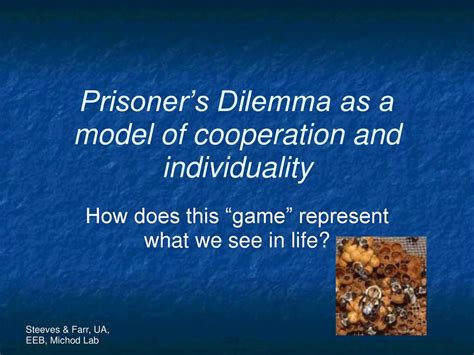 Prisoners Dilemma As A Model Of Cooperation And Individuality Ppt