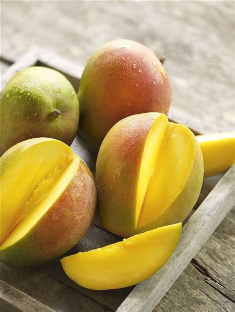 Guía completa Cómo sembrar un mango y disfrutar de sus deliciosos frutos