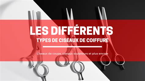 The different types of hair scissors – Myciseauxcoiffure