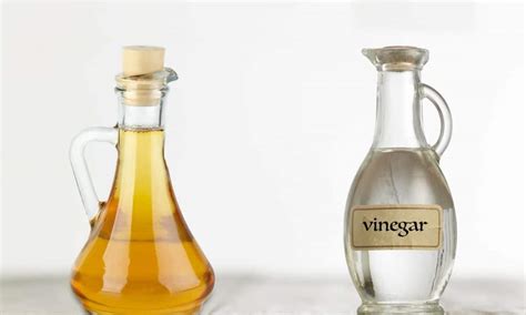 Apple Cider Vinegar Vs White Vinegar Differences Similarities My