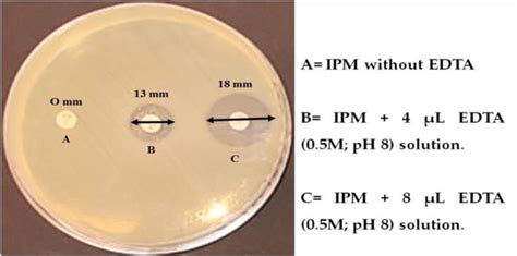 Detection Of Metallo Beta Lactamase Producer By Pseudomonas Aeruginosa