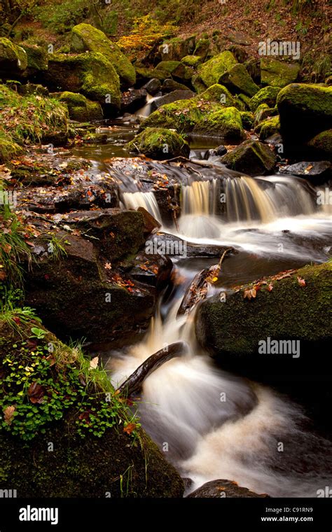 padley gorge high resolution stock photography  images alamy