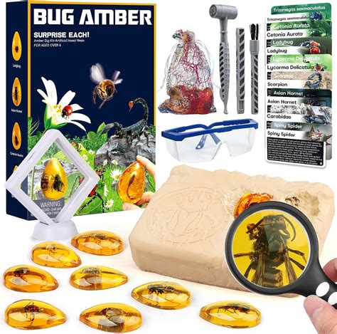 Amber Dig Kit Insects In Resin 8 Insects Specimens Excavation Kit Gemstone Bugs