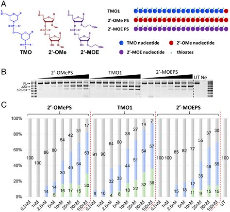 Thiomorpholino Oligonucleotides As A Robust Class Of Next Generation