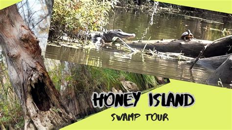 Dr Wagners Honey Island Swamp Tour Youtube