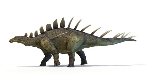 Modelo 3d Kentrosaurus Animado TurboSquid 1923440