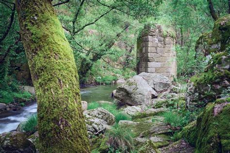 Puente Viejo De La Roca Que Cruza Una Corriente En El Medio De La