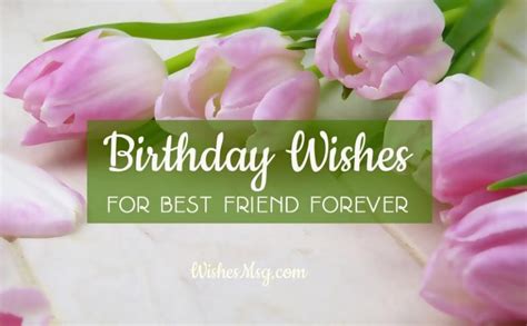 Birthday Wishes For Best Friend - Male and Female | WishesMsg