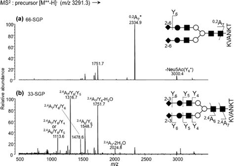 Negative Ion Collisioninduced Dissociation Cid Spectra Of