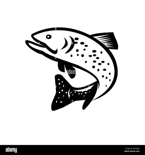 Speckled Trout Silhouette