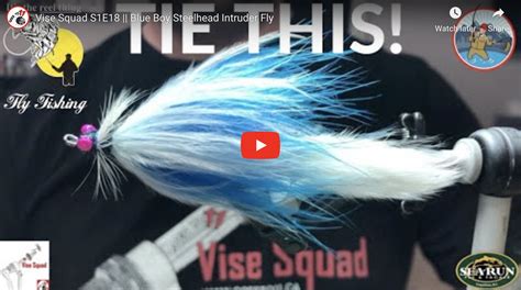 Vise Squad Fly Tying Tutorial S E Blue Boy Steelhead Intruder Fly