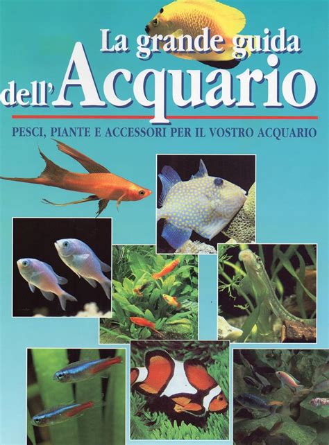 Amazon It La Grande Guida Dell Acquario Ediz Illustrata AA VV AA