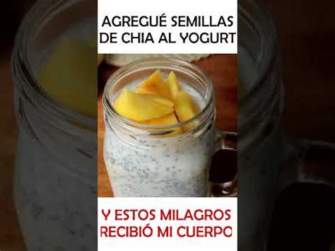 Descubre Los Incre Bles Beneficios Y Propiedades De La Ch A Con Yogurt