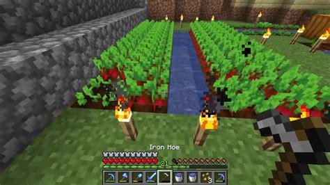 How To Make A Beetroot Farm Minecraft Youtube