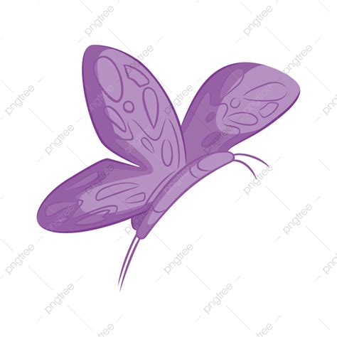 Mariposa Decorando Dibujos Animados Png Dibujos Animados Vector Mariposa Png Y Vector Para