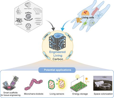 Engineered Living Carbon Materials Matter