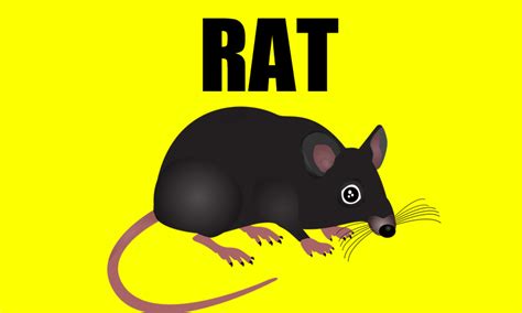 Rat Sounds Rat Sound Effects:Amazon.in:Appstore for Android