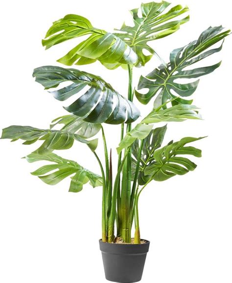 Floraya Kunstplant Monstera Deliciosa Gatenplant X X