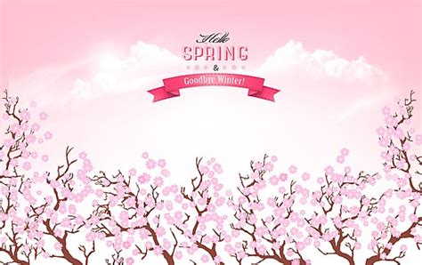 Sakura Blossom Background PNG Transparent Images Free Download | Vector ...