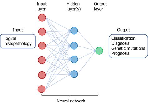 A Neural Network In Deep Learning Of Digital Histopathology The Input